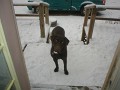 Katy's 1st snow